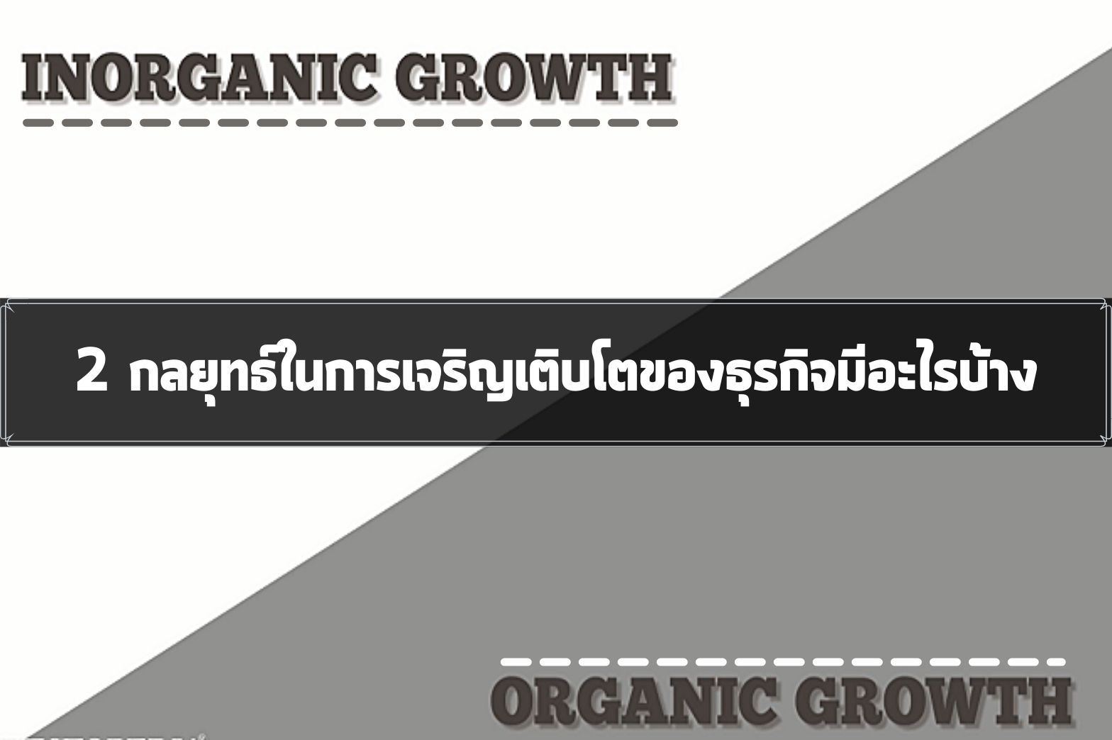 การเติบโตทางธุรกิจ1